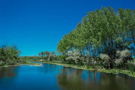 längster fluss der welt.